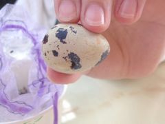 -郑州银基黄帝宫御温泉