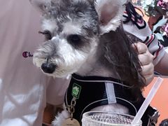 -清迈清迈巷口小排档(烟台山店)
