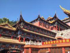 -东莞市大岭山森林公园