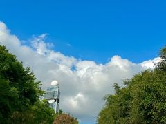 -深圳国际园林花卉博览园