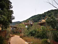 -杭州开元森泊度假乐园