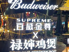 -禄婶鸡煲·打边炉