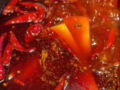 -蜀大侠火锅(总府路店)