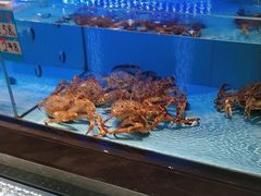 -阿伟海鲜楼·福建菜(延寿店)