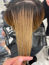 -THE LOG SALON 记录