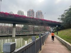 -人民公园(罗湖区)