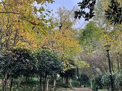 -龙头寺公园