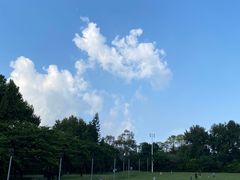 -紫马岭公园