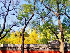 -北京国子监胡同