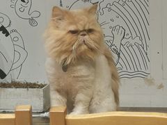 -小时光咖啡馆(开森度假森林店)