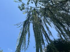 -兰溪青年公园