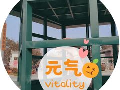 -安仁古镇