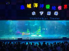 -泉城欧乐堡海洋极地世界
