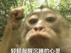 -厦门日月谷温泉渡假村