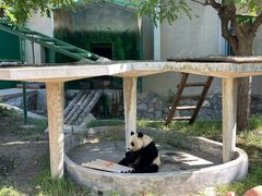 -天津市动物园