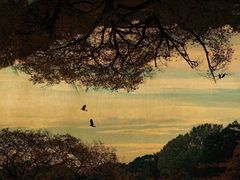 -八哥美术·成人美术画室(总校区)