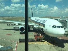 -新加坡航空公司(ION)