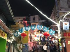 -猫咪博物馆(顶澳仔猫街店)