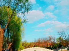 -二一九公园