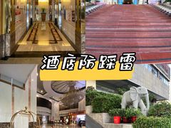 -深圳楚天大酒店(福田口岸深圳会展中心店)