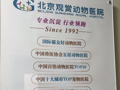 -北京观赏动物医院·24小时大型综合·猫专科·异宠专科