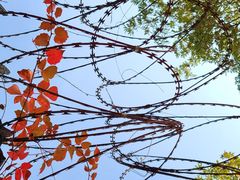 -集美鳌园景区