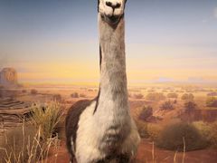 -陕西自然博物馆