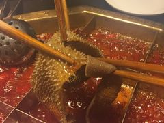 -蜀九香火锅(彩虹店)