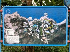 -广东惠东海龟国家级自然保护区