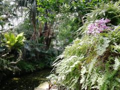 -上海辰山植物园