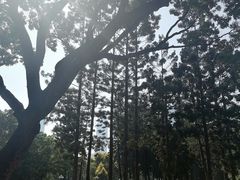 -人民公园(罗湖区)