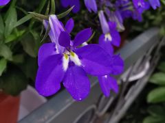 -方恒购物中心(望京小街店)