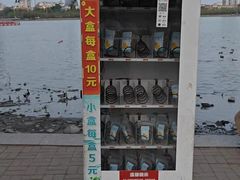 -天津水上公园