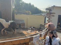 -HERRE·FARM 赫尔露营农场·团建聚会包场