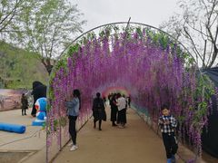 -渭南桃花源民俗文化园