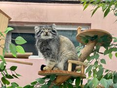 -青藏高原野生动物园