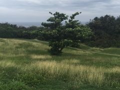 -鹅銮鼻公园