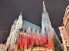 -斯蒂芬主教座堂(Stephansdom)