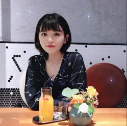 -YESIDO椰岛造型