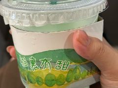 -猫里有甜