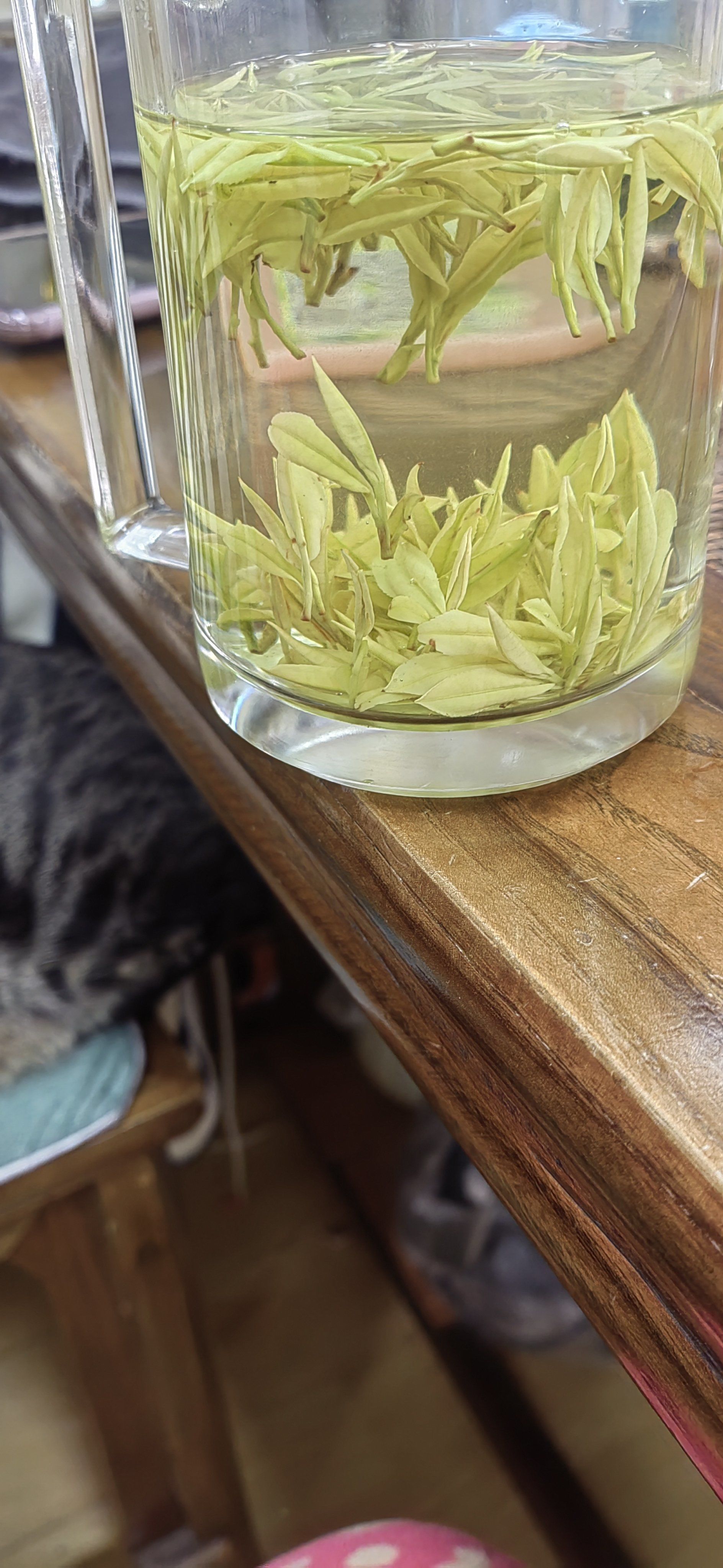 今天的茶,清香四溢