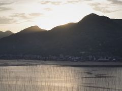 -北岐滩涂