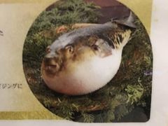 -玄品河豚(那覇國際通里之関)