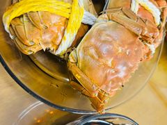 -阳澄湖大闸蟹·琼灵阁牌品牌连锁(吴中总店)