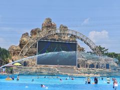 -美的鹭湖探索王国