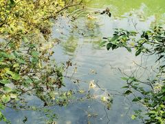 -国家植物园