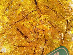 -辽宁大学(崇山校区)
