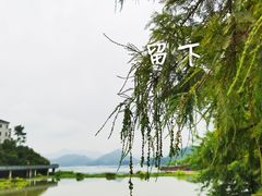 -青山湖风景区