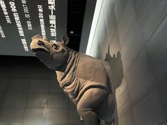 -浙江自然博物院(杭州馆)