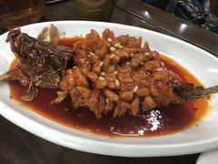 -协和菜馆(凤凰街店)